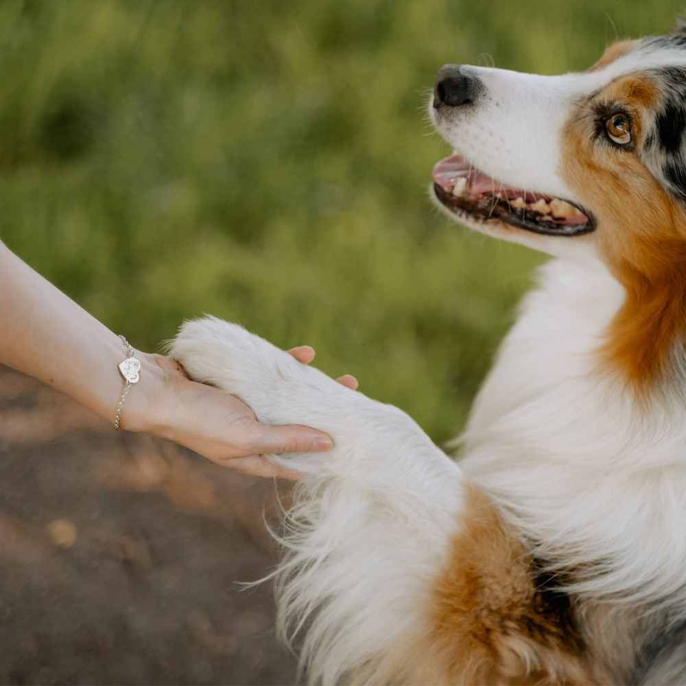 Zilveren armband met naam van eigen hond Australische Herder