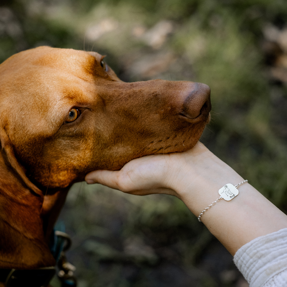 Zilveren armband met naam van eigen hond Australische Herder