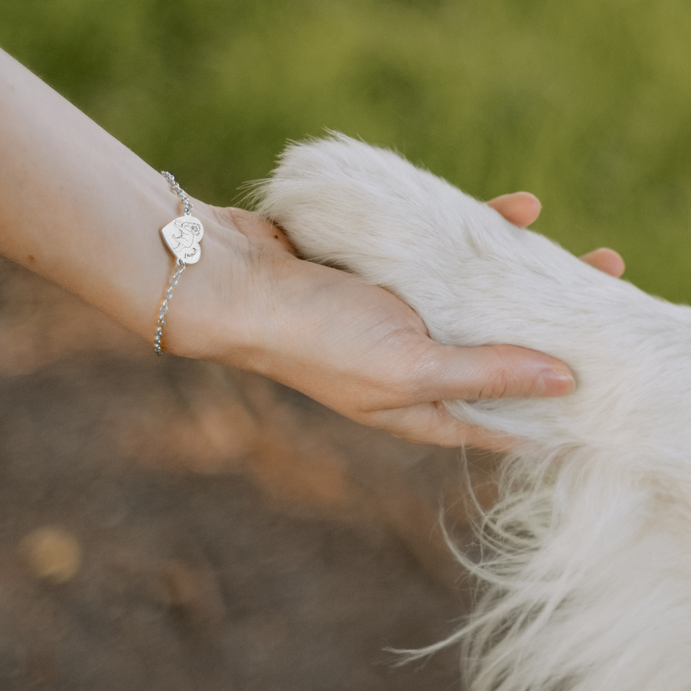 Zilveren honden armband Yorkshire Terrier