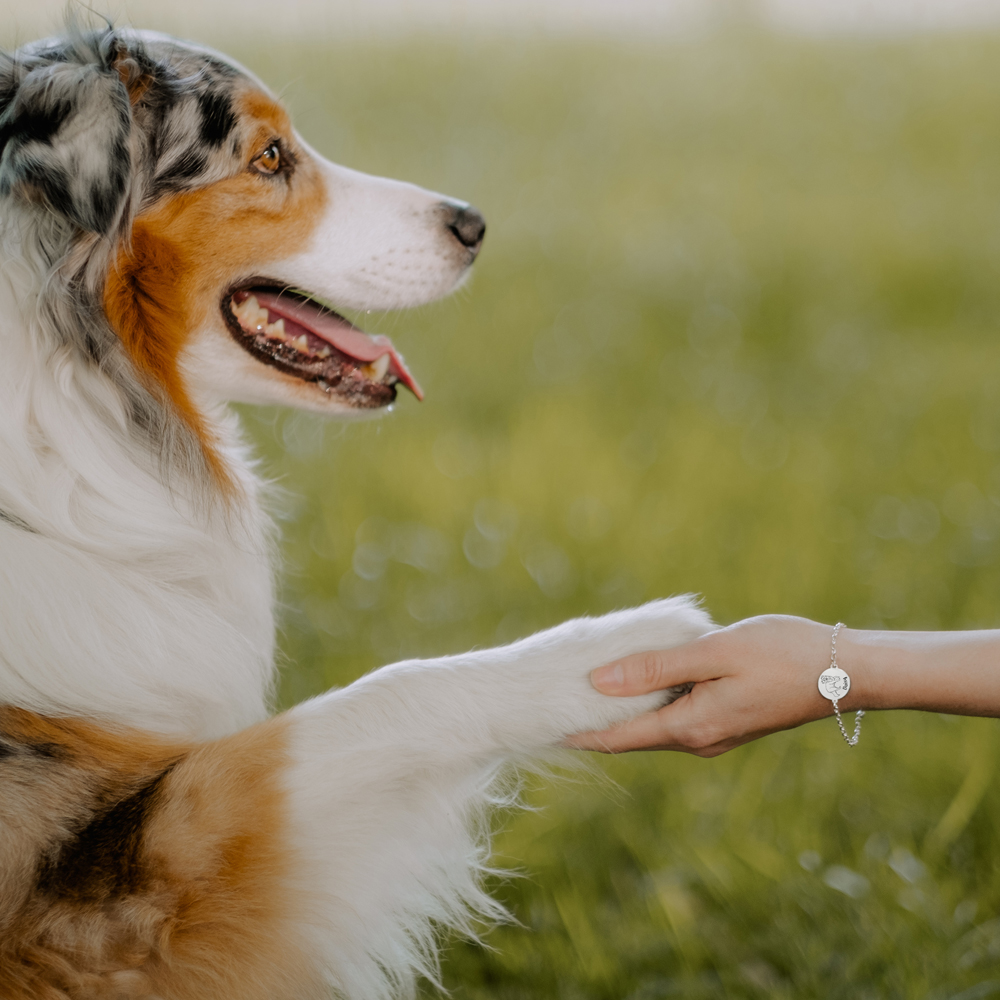 Zilveren personaliseerde honden armband Boxer