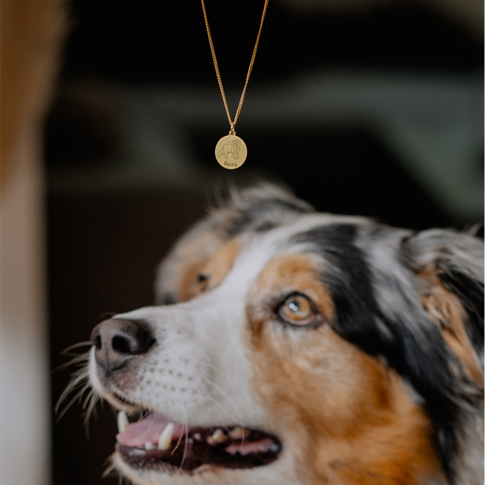 Gouden hanger met honden gravure Akita