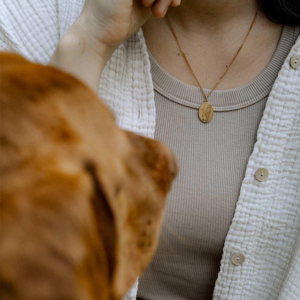 Gepersonaliseerde honden hanger Pomeriaan goud