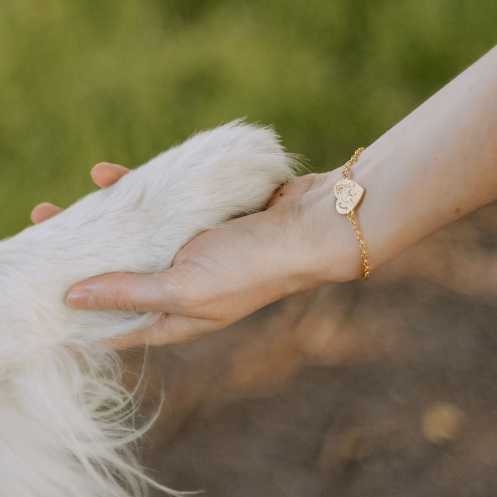 Gouden armband met honden gravure Akita