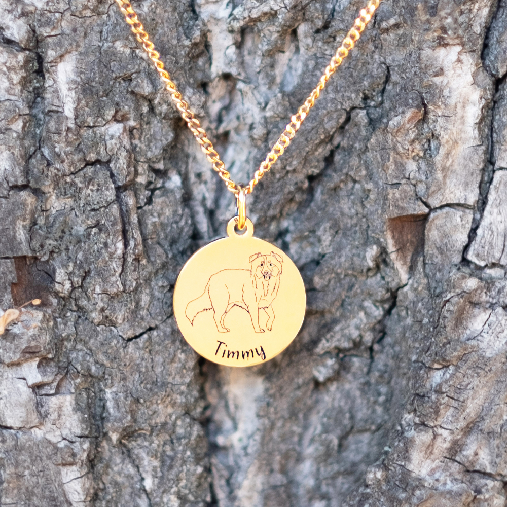 Gouden honden ketting met naam Border Collie