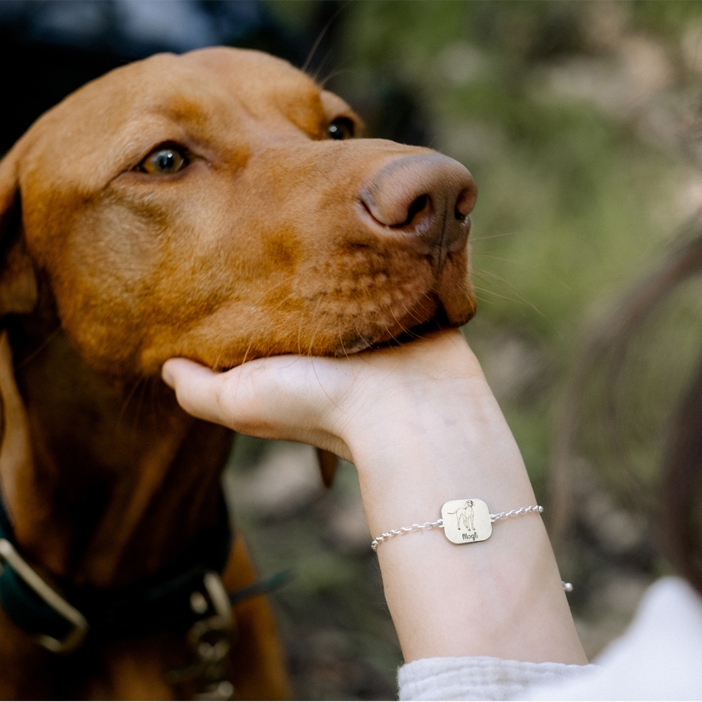 Zilveren armband met naam gravure hond Pittbull
