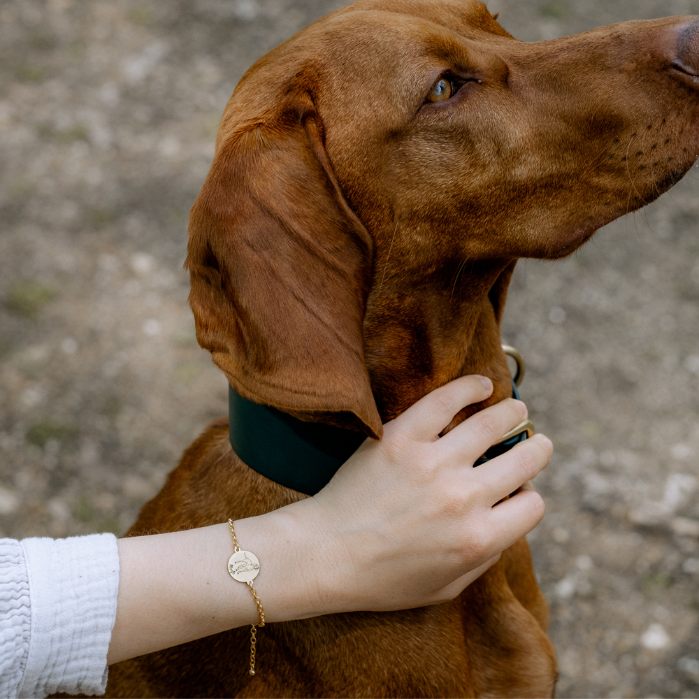 Gouden dieren armband hond Weimaraner
