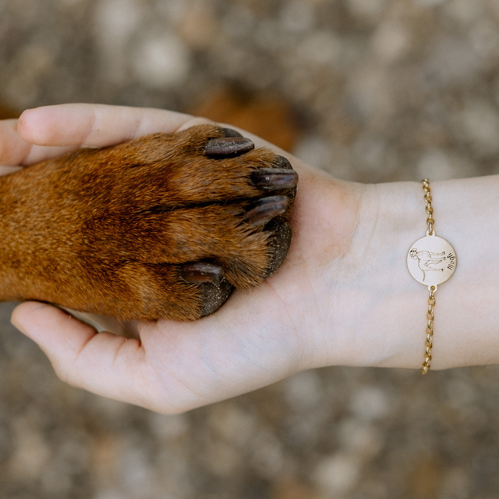 Gouden dieren armband hond Weimaraner