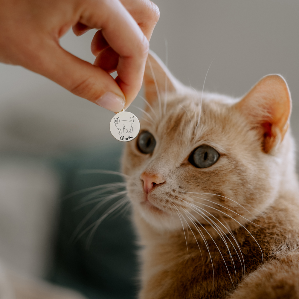 Ketting met kat Blauwe Rus zilver