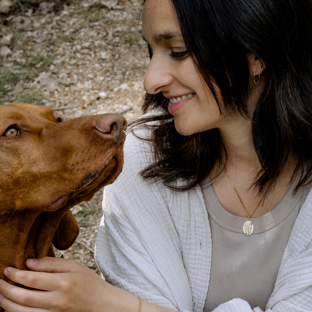 Gouden ketting met honden portret Staffordshire Bull Terrier