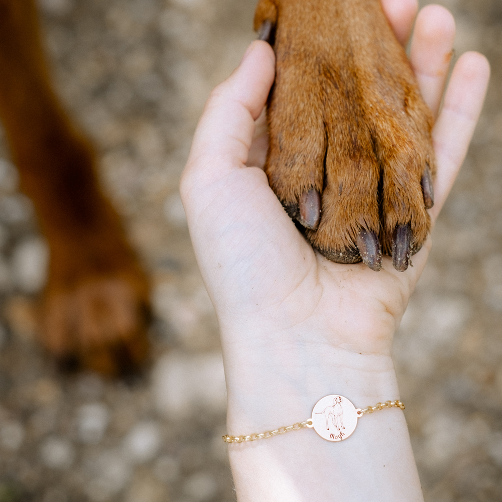 Gouden armband met naam gravure hond Pitbull