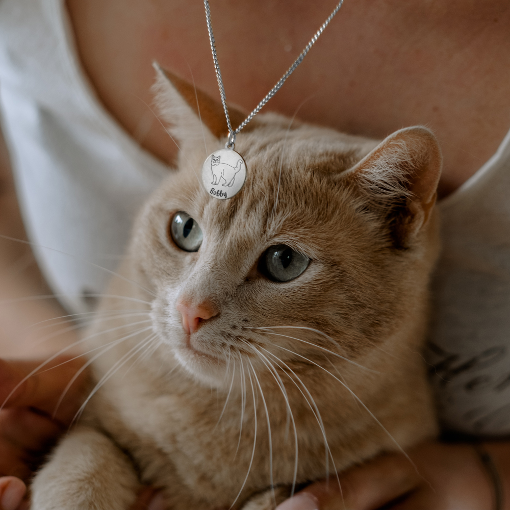 Zilveren ketting met kattenhanger Abessijn