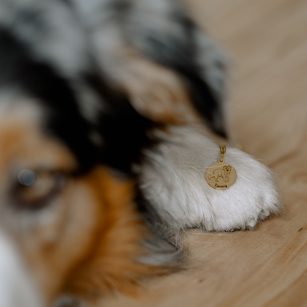 Personaliseerde gouden honden naamketting Jack Russel Terrier