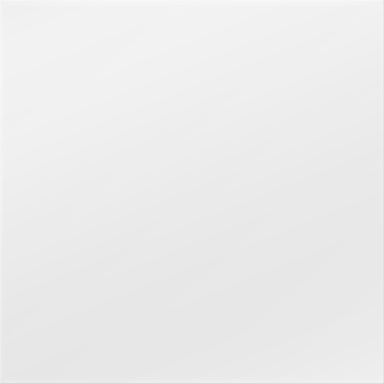 1,2 mm dik zilver (+ €20,00)