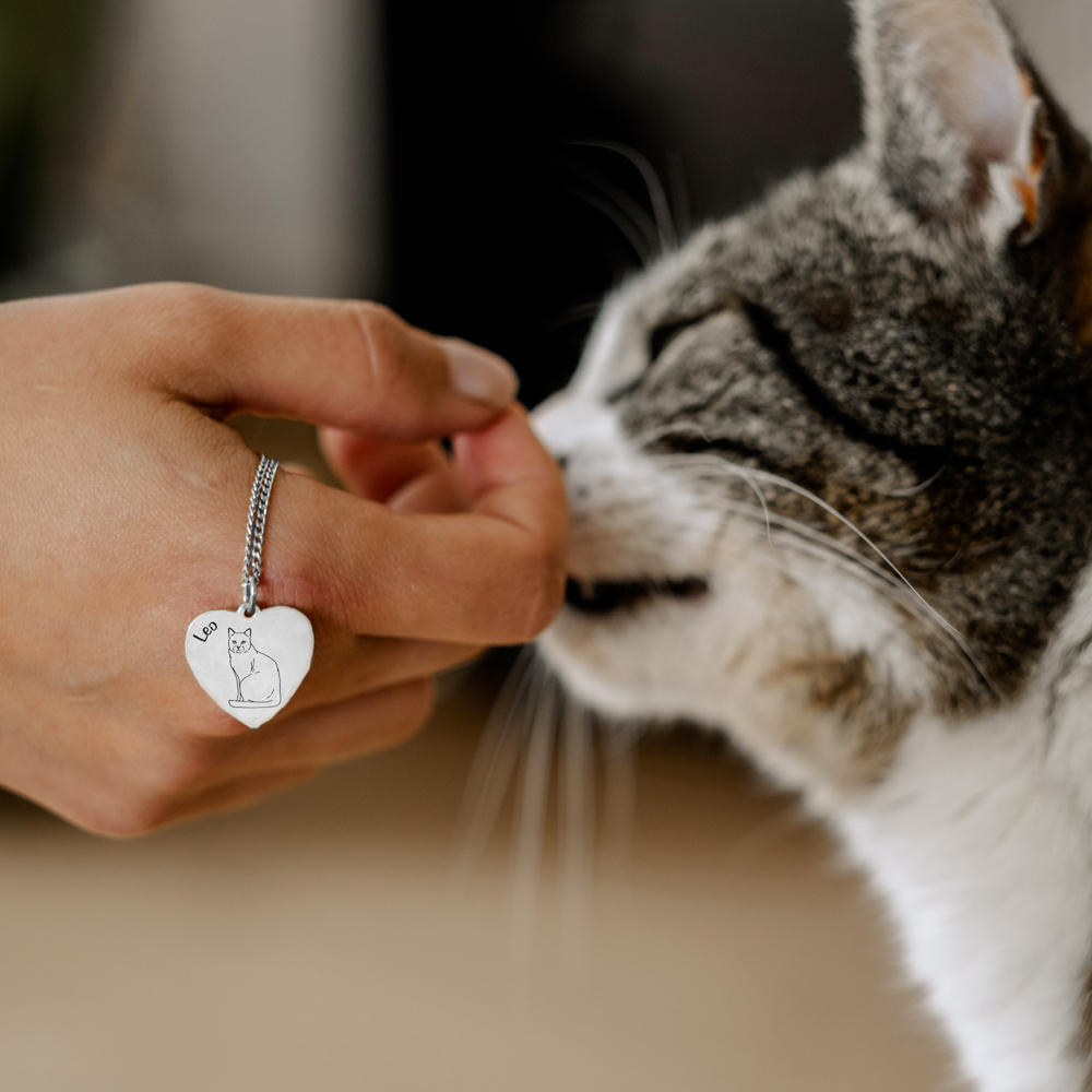 Zilveren ketting met kat Siberische kat