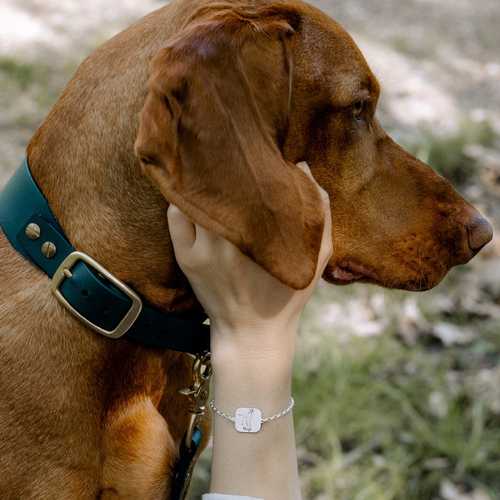 Personaliseerde armband met hond Basset Hond van zilver