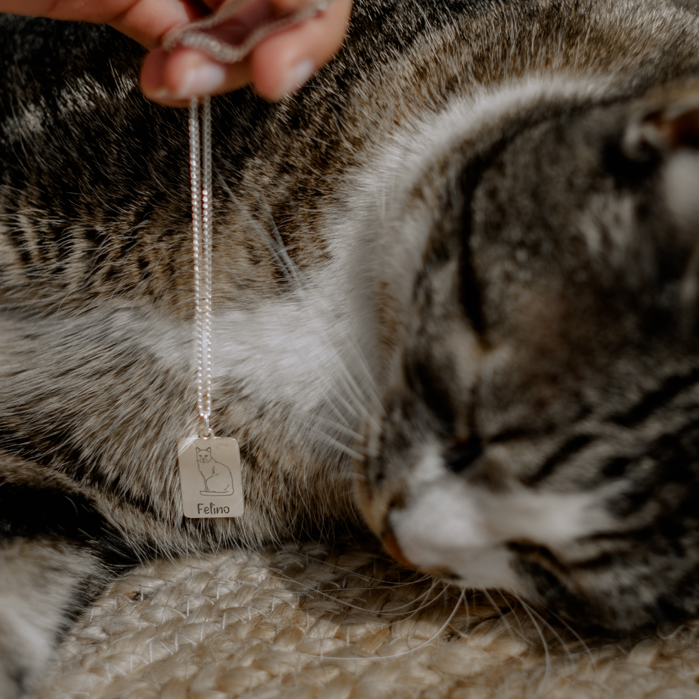 Zilveren hanger kat Sphynx