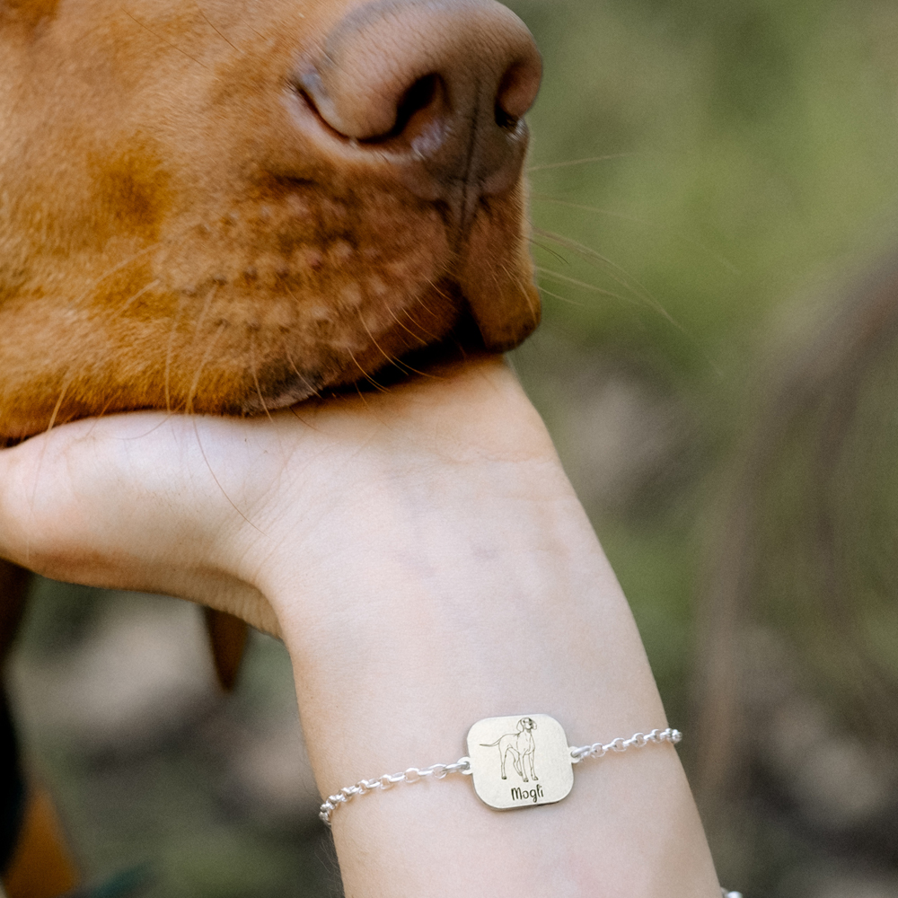 Zilveren honden armband Weimaranernd