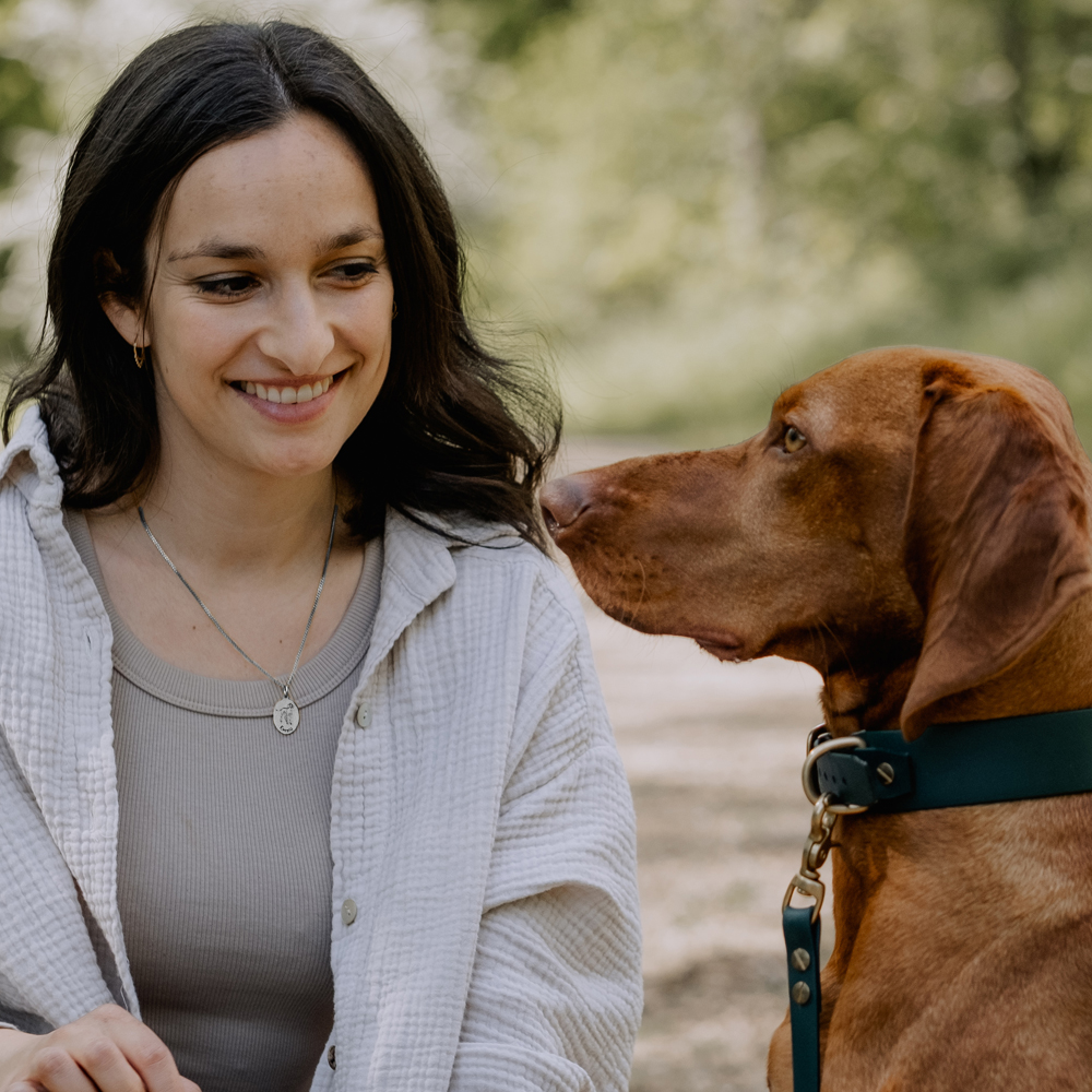 Zilveren honden ketting met naam Border Collie