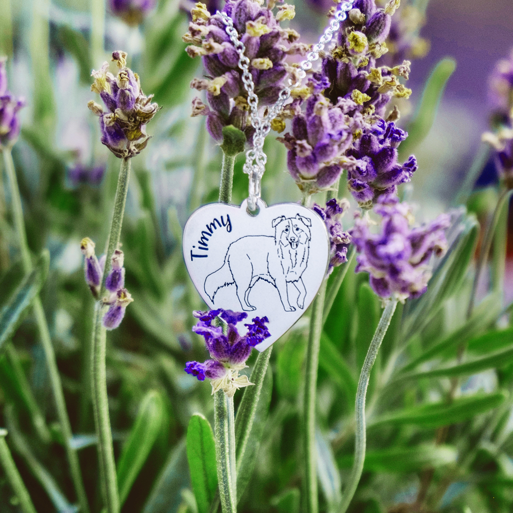 Personaliseerde honden naamketting Jack Russel Terrier