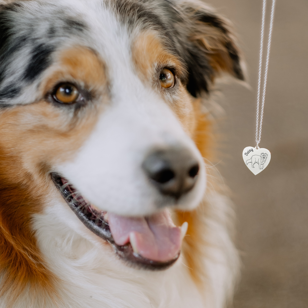 Zilveren hondenras ketting Saluki/Perzische windhond